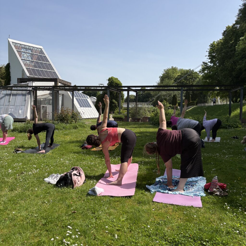 Teilnehmer führen die Asana Prasarita Padottanasana beim Outdoor Yoga im Enzauenpark Pforzheim aus